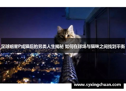 足球明星P成猫后的另类人生揭秘 如何在球场与猫咪之间找到平衡